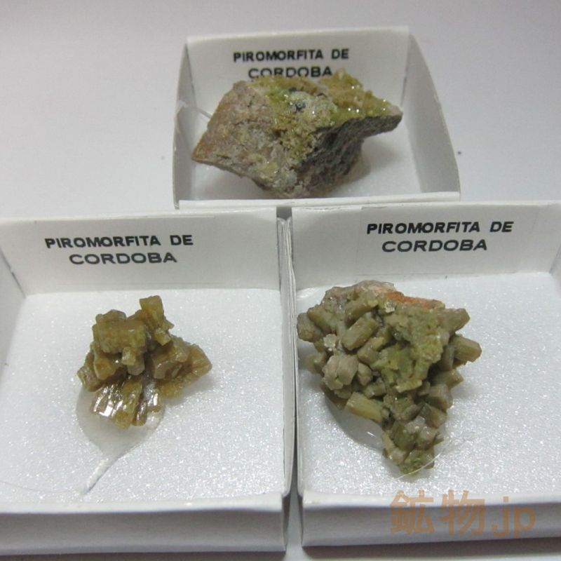 桂林市 パイロモルファイト B932 天然石 原石 鉱物 標本 鉱石 緑鉛鉱